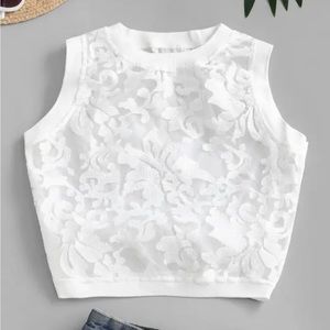 Organza lace/sheer crop top